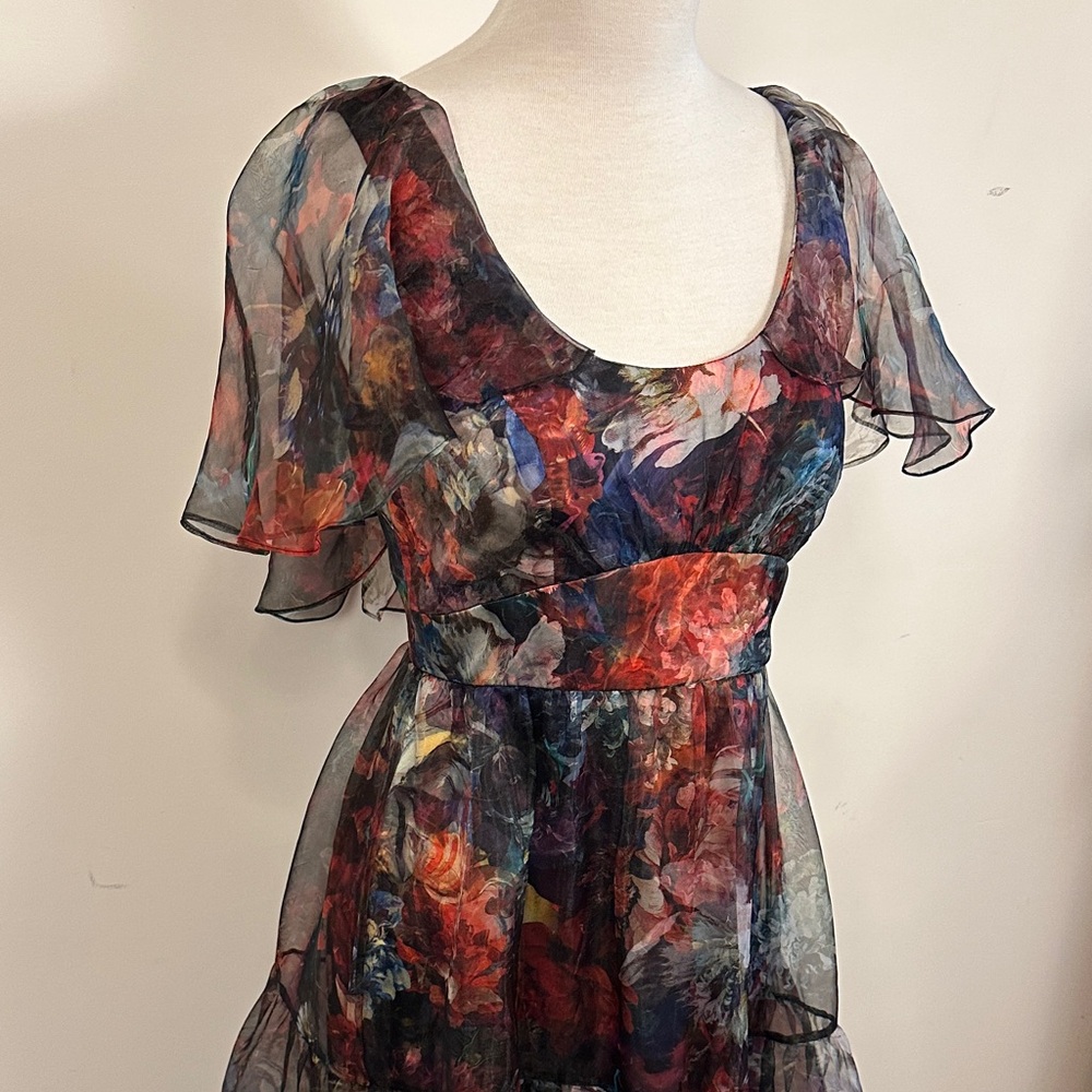 Theia Darla Scoop Neck Multicolor Floral Gown $845 - Picture 5 of 8